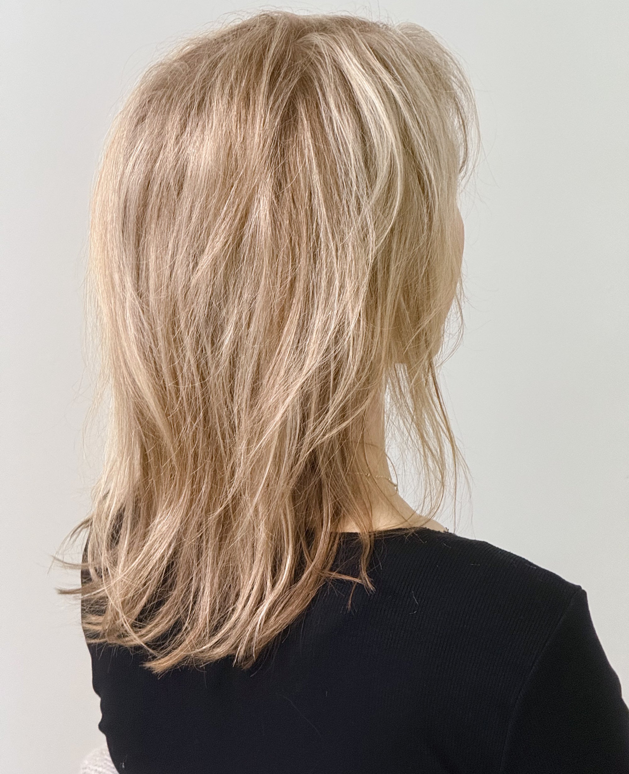 Studio Élan Halo Hair Extension Before Photo